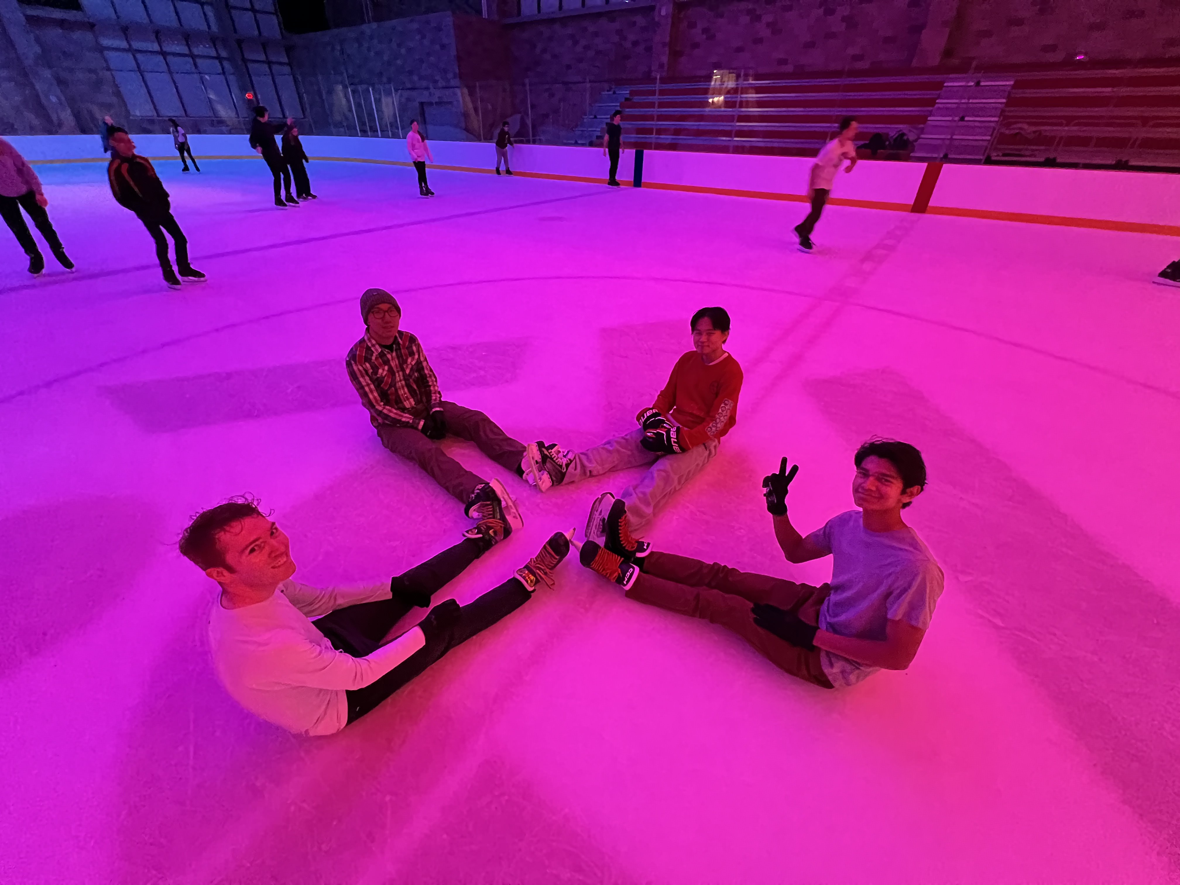 public skate picture