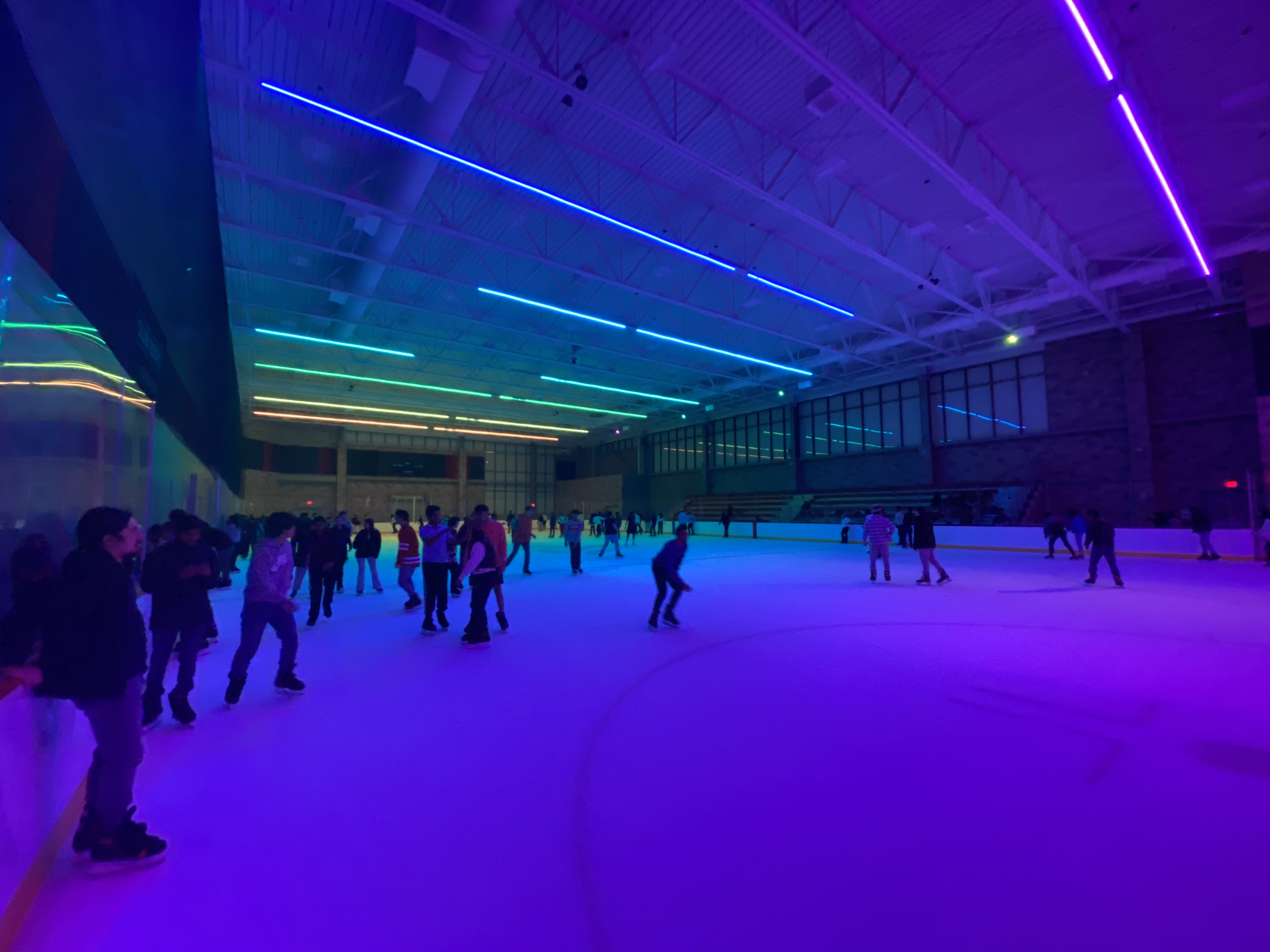 public skate picture