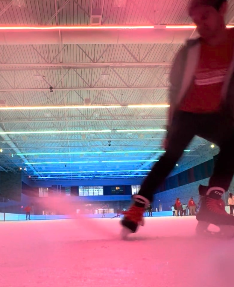 public skate picture